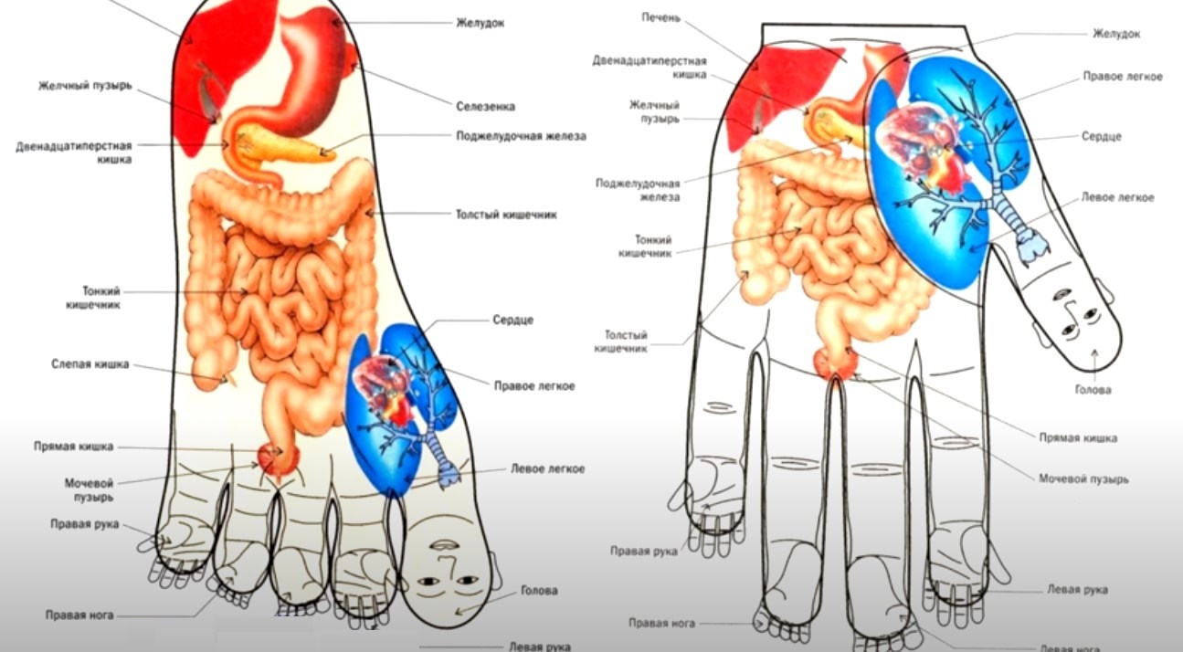 Acupressure Points