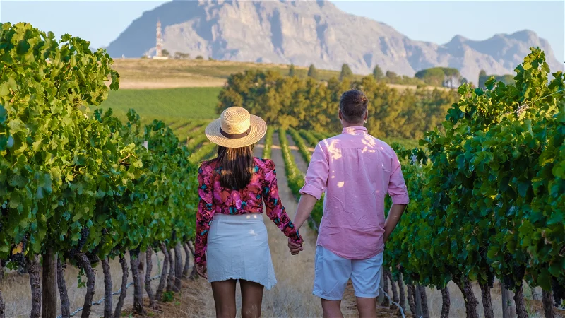 Best Wine Tasting in South Africa