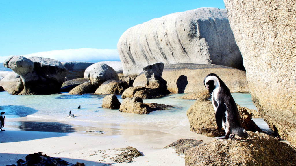 Boulders Beach
