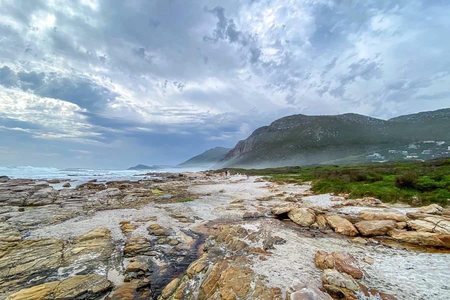 Cape Peninsula and Wildlife Experience
