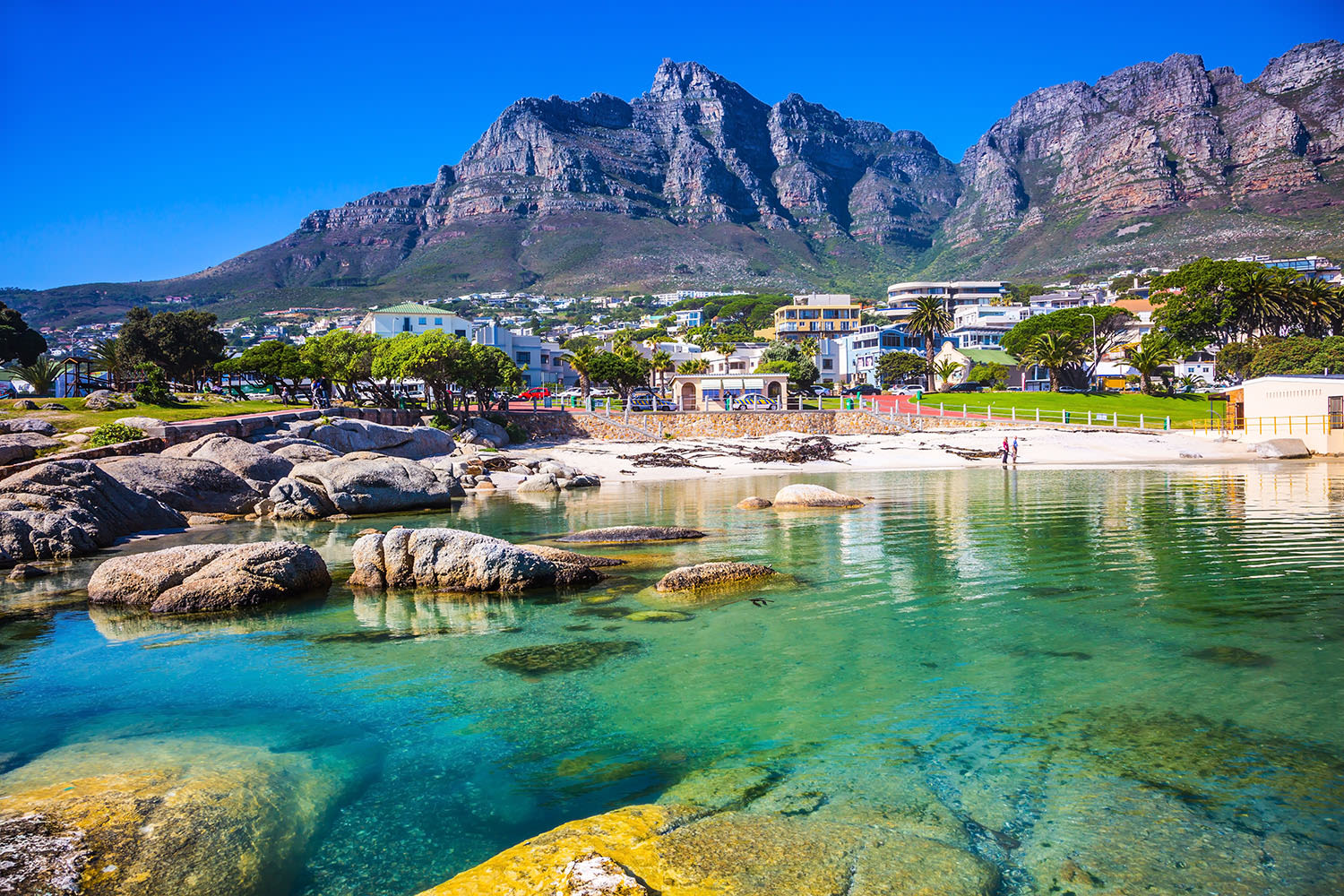 Cape Town Adventure