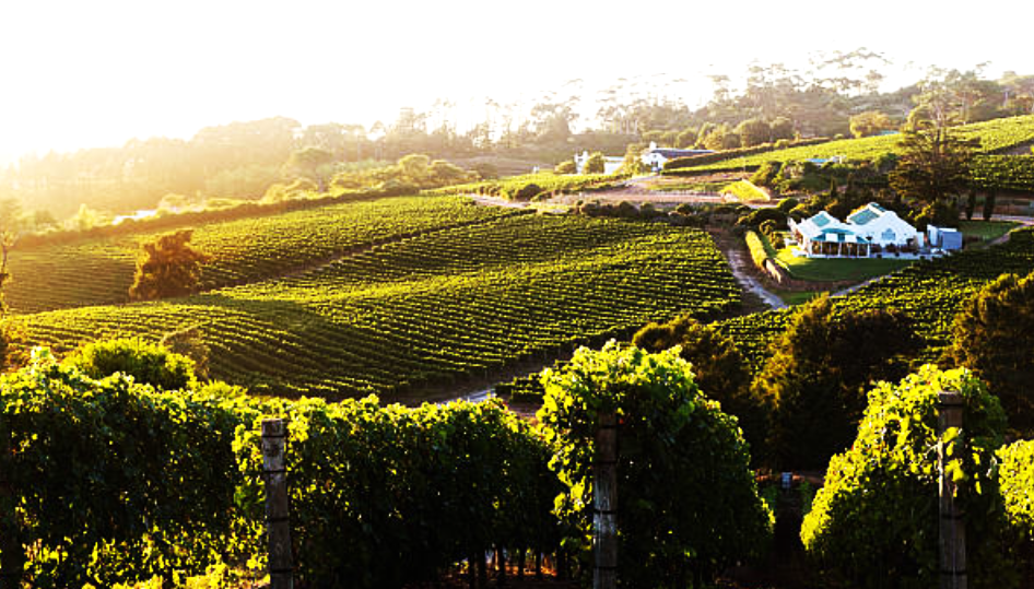 Constantia
