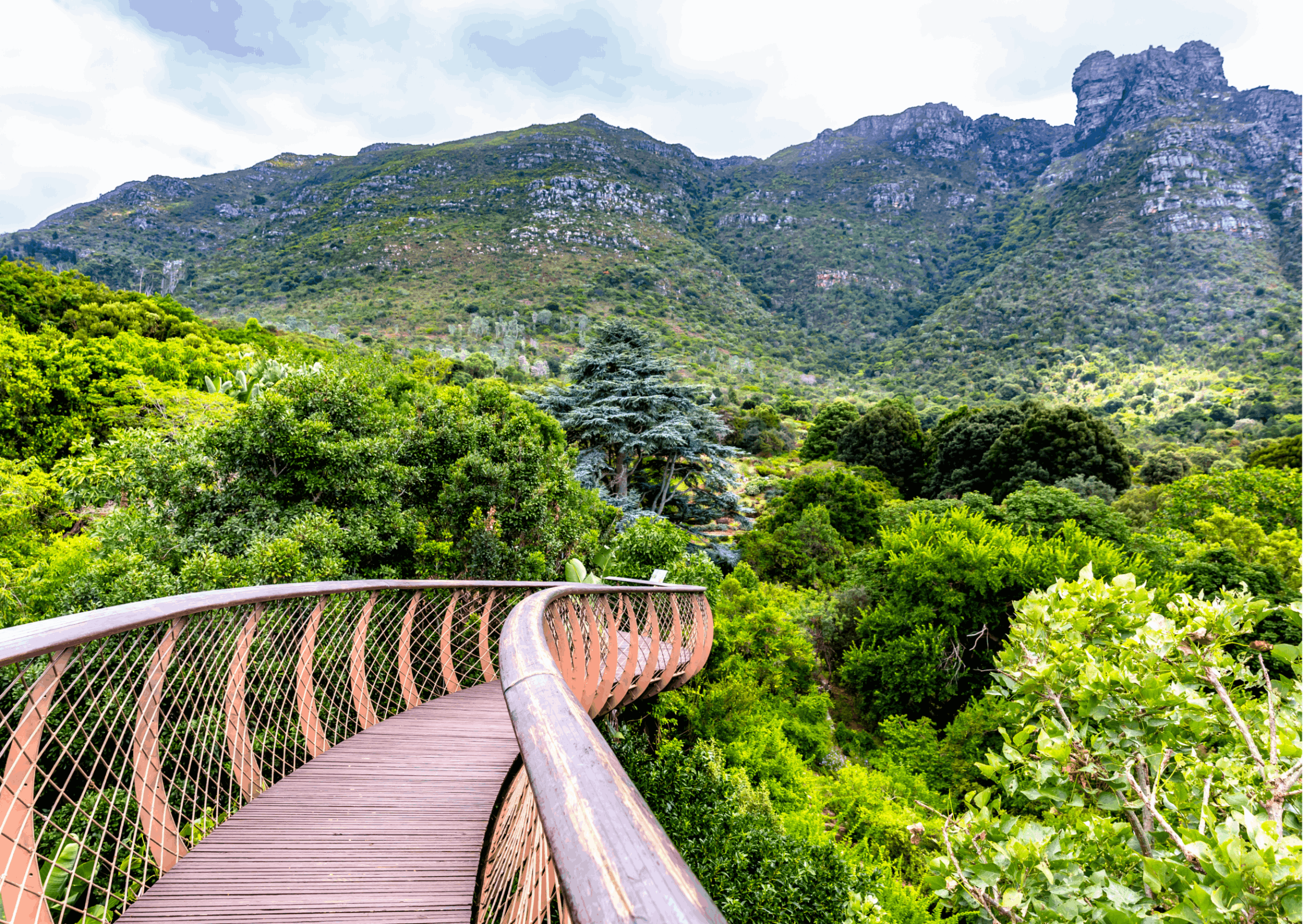 Explore the Botanical Gardens