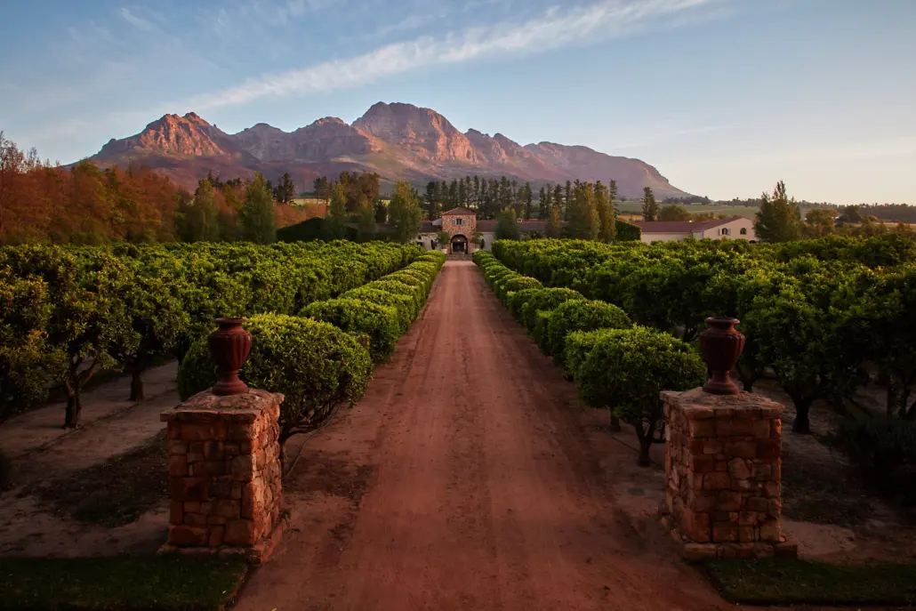 Exploring the Surrounding Wine Regions