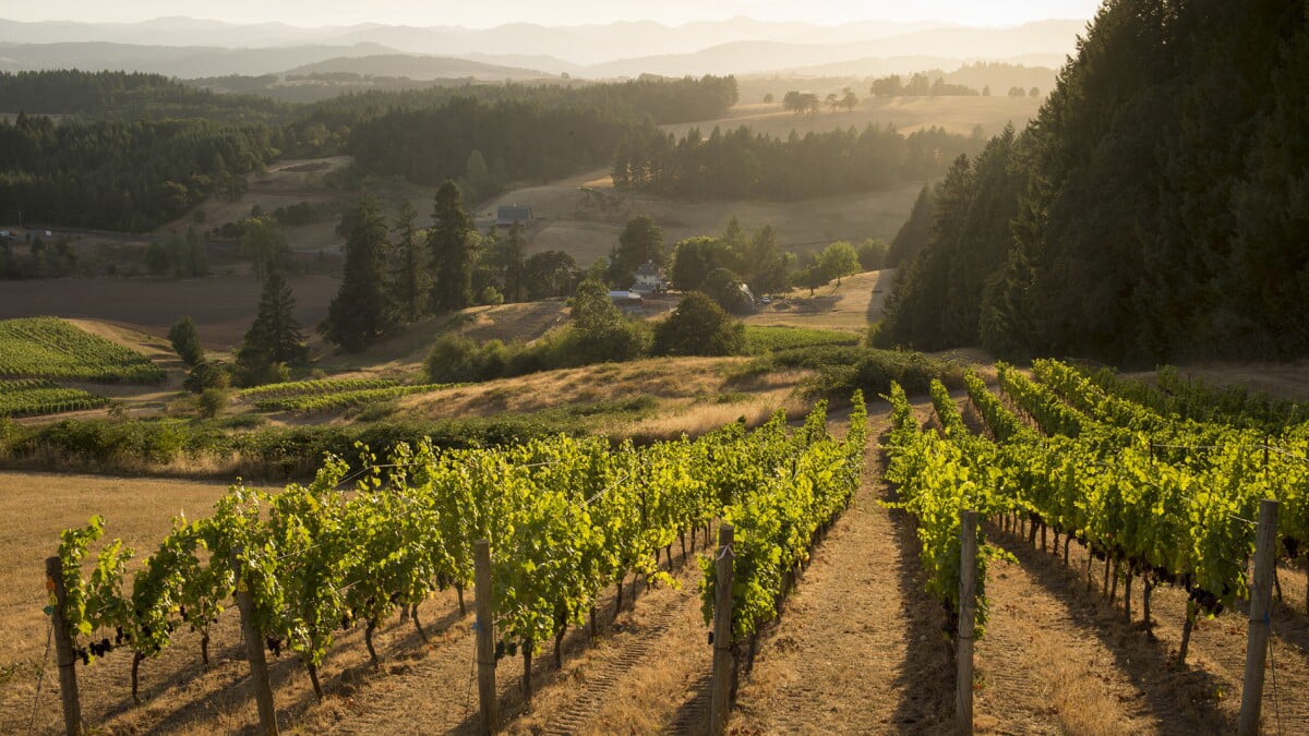 Recommendations for Wineries to Visit
