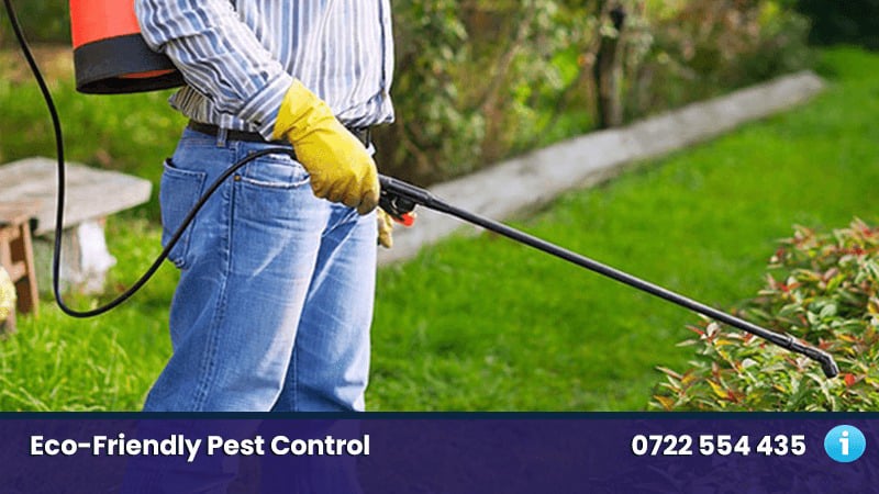 Nairobi Pest Control Experts