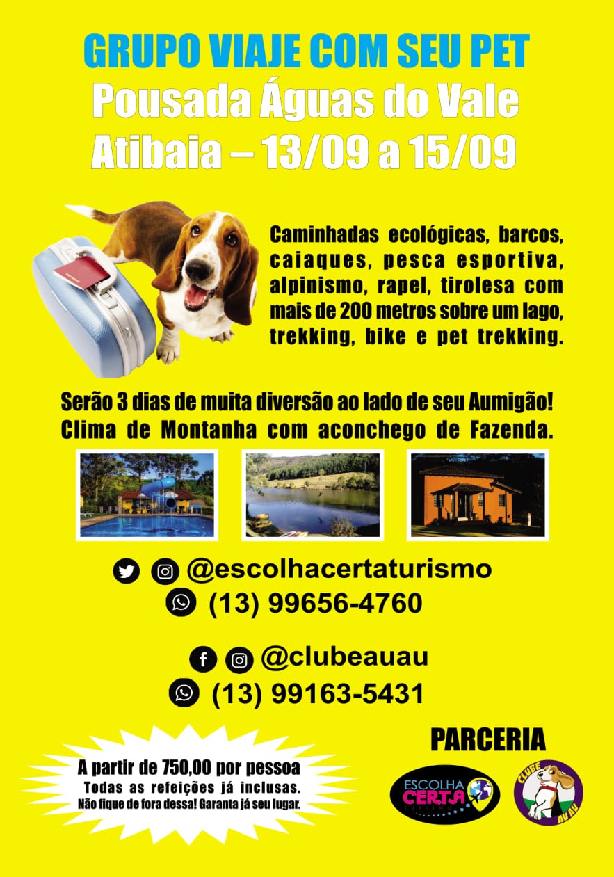 panfleto escolha certa turismo verso