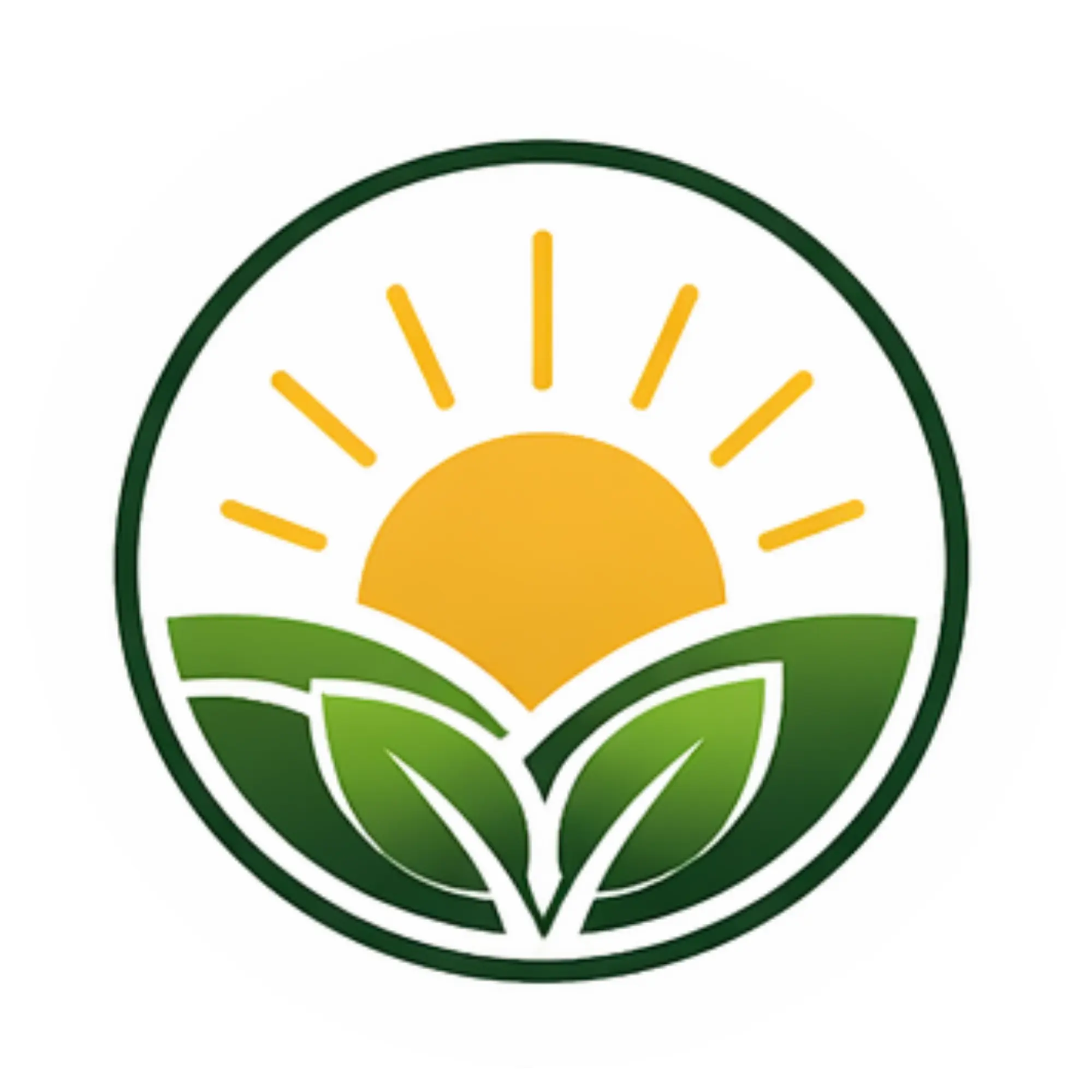 logo di L' aurora di Cristian Caldani