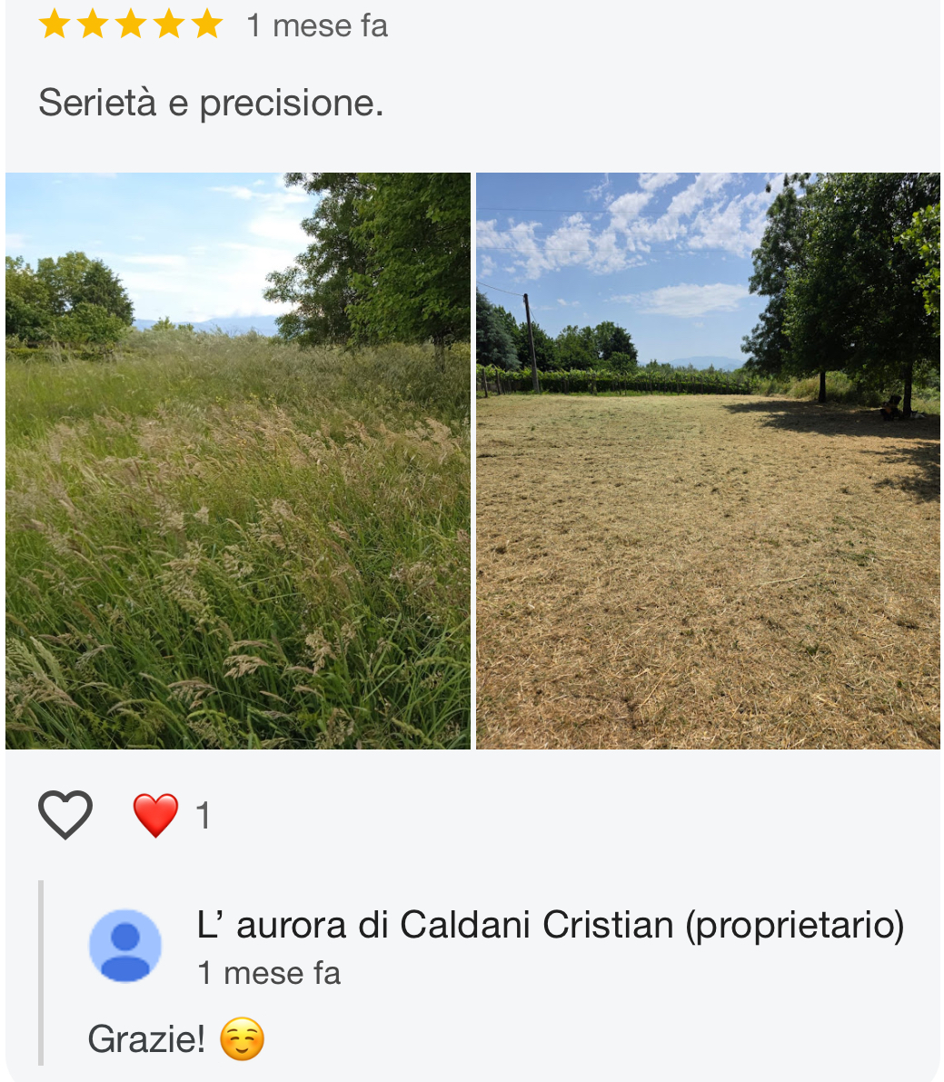 Recensione "serietà e precisione" più foto del lavoro prima e dopo