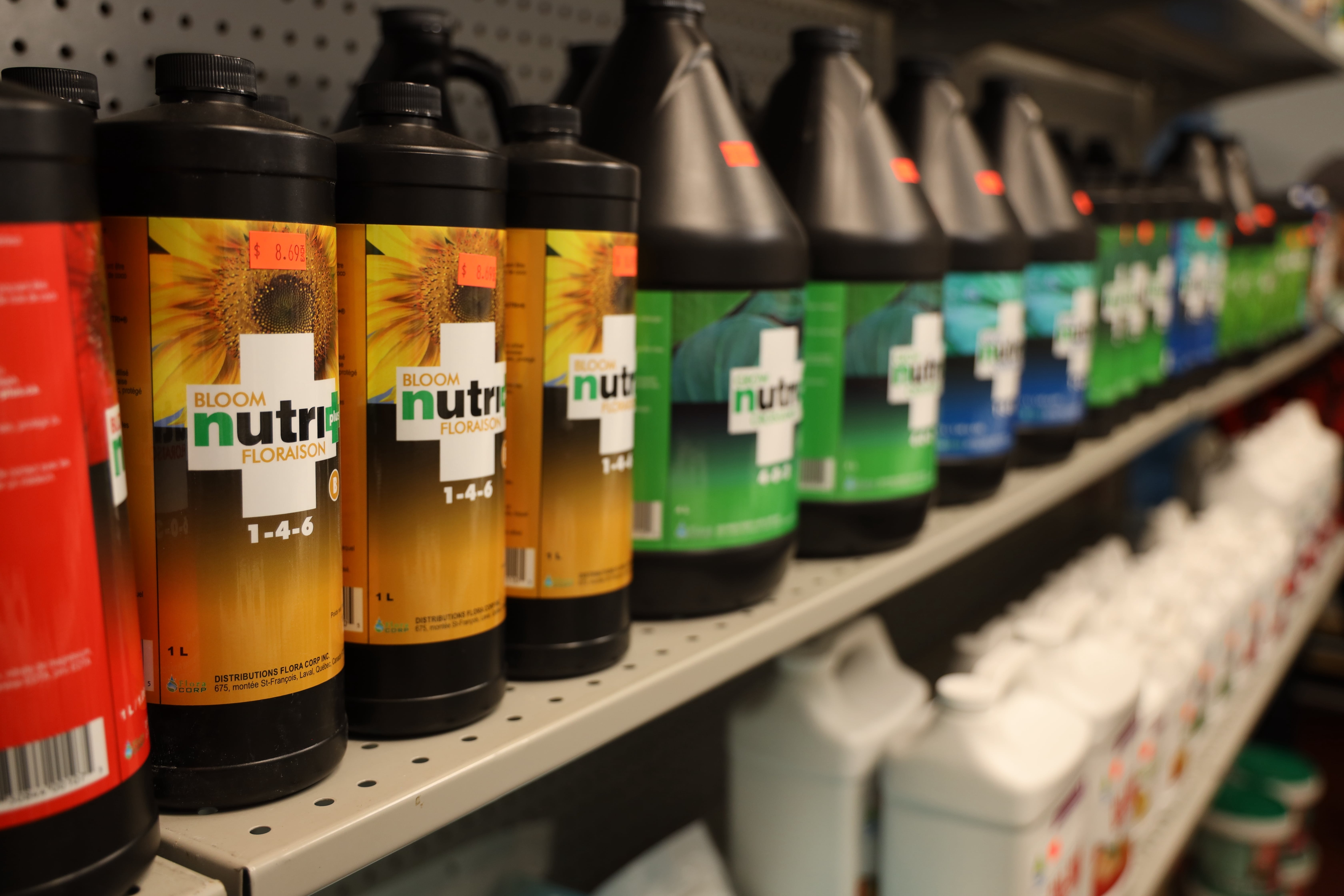 Nutri +