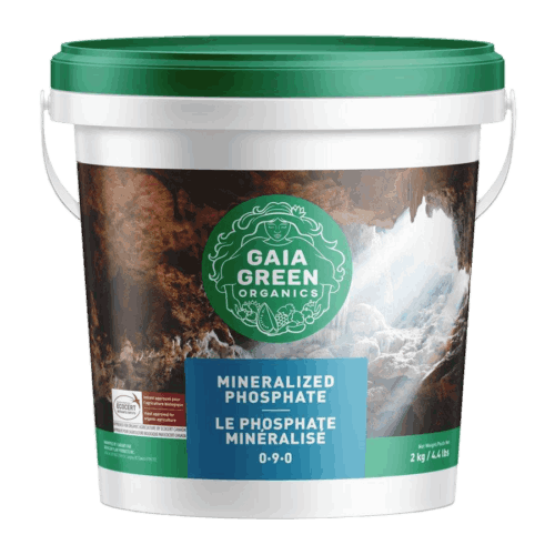 GAIA GREEN GLACIAL ROCK DUST 2 KG 