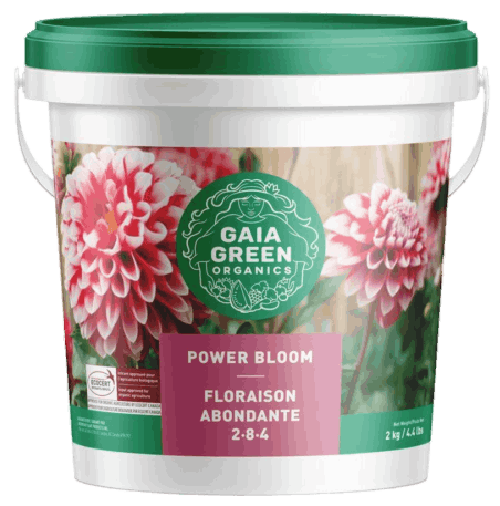 GAIA GREEN ALFALFA MEAL 3-0-2 1 KG