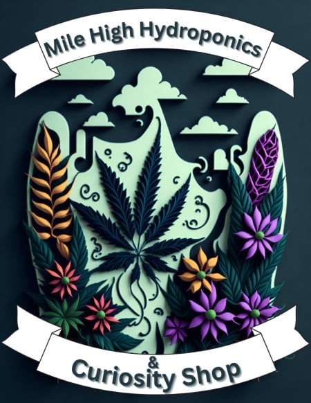 Store logo