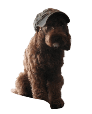 Miley wearing Chris' hat.