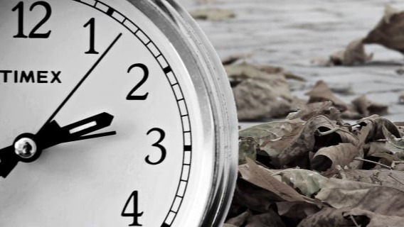 Luto, fim de relacionamentos e mudanças