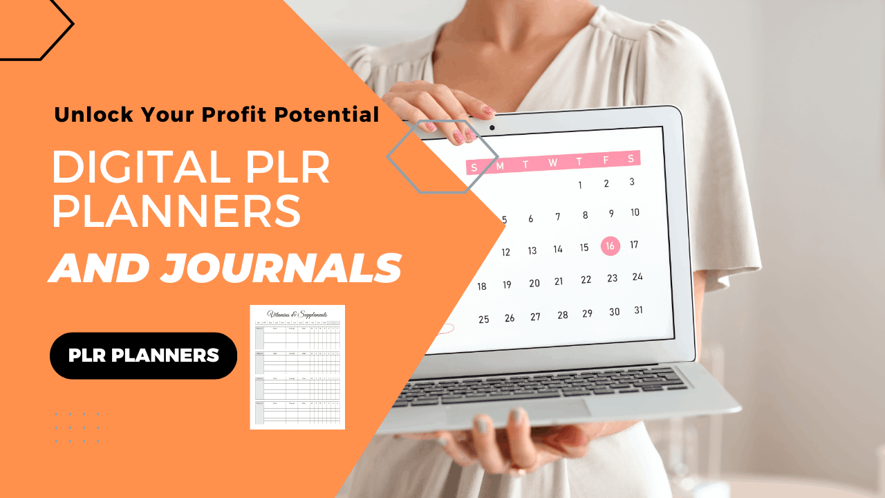 Profiting with Digital PLR Planners