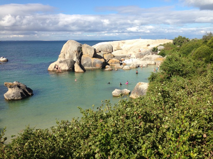 Cape town nature