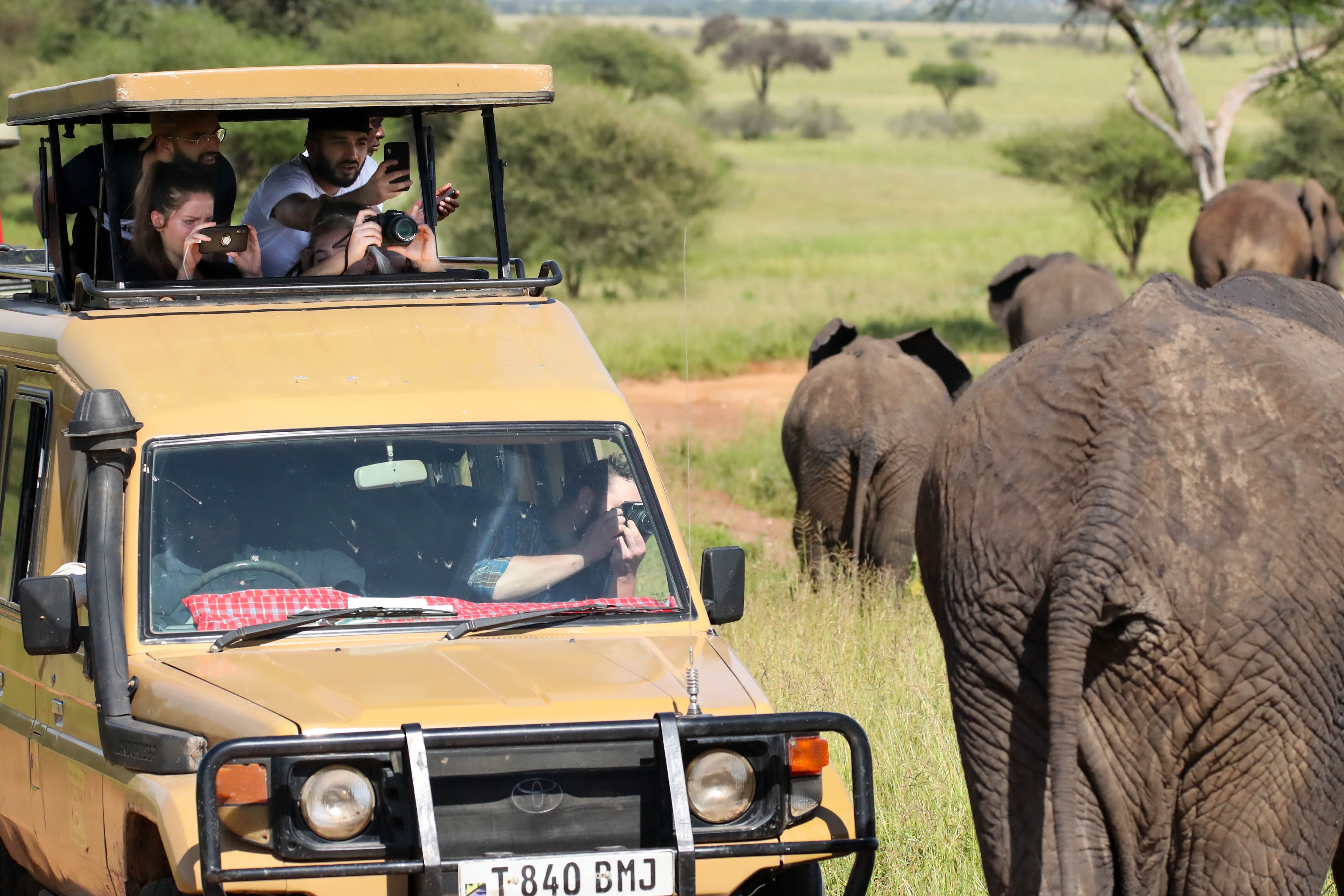 Cape Town Safari - Elephant Sighting