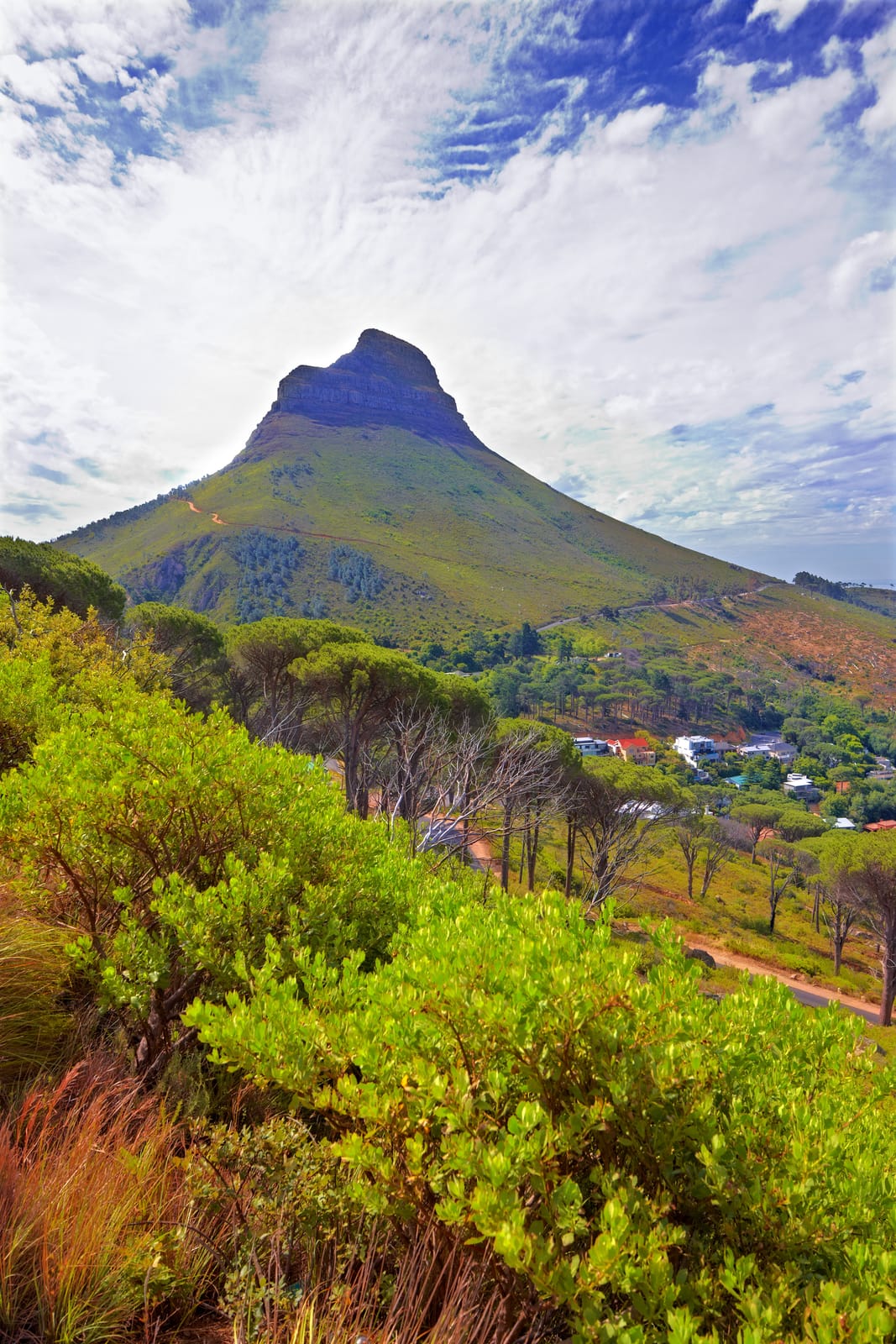 About our Cape Town Day Trips