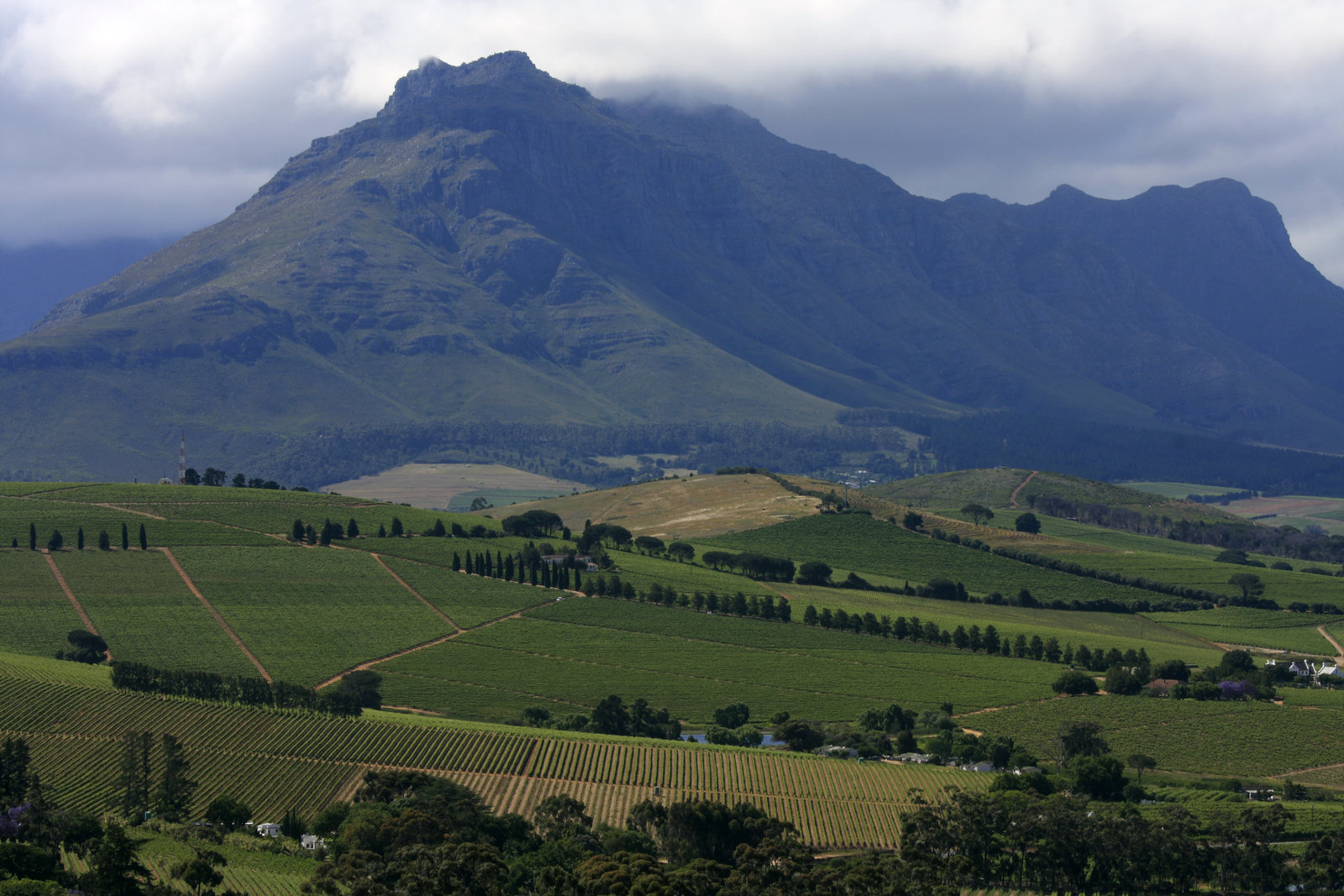 Stellenbosch Winelands Cape Winelands tour