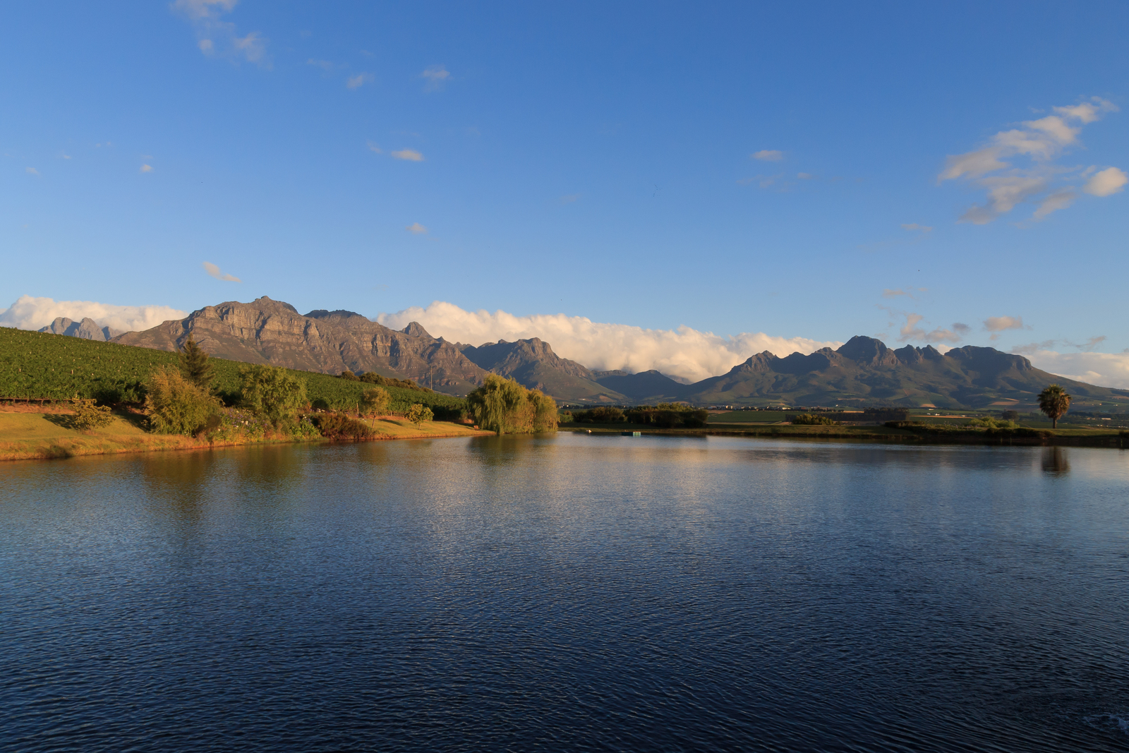 Stellenbosch Winelands Tour Scenery