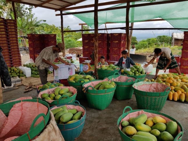 Mobirise Website Builder