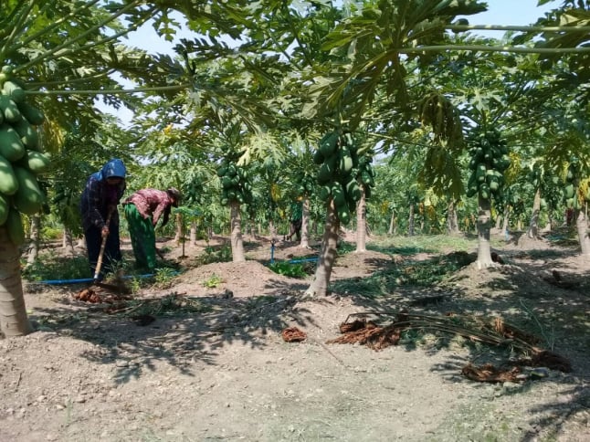 Mobirise Website Builder