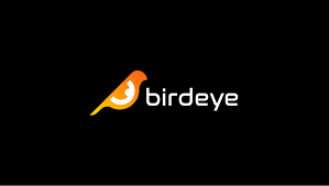 Birdeye icon pepe on sol