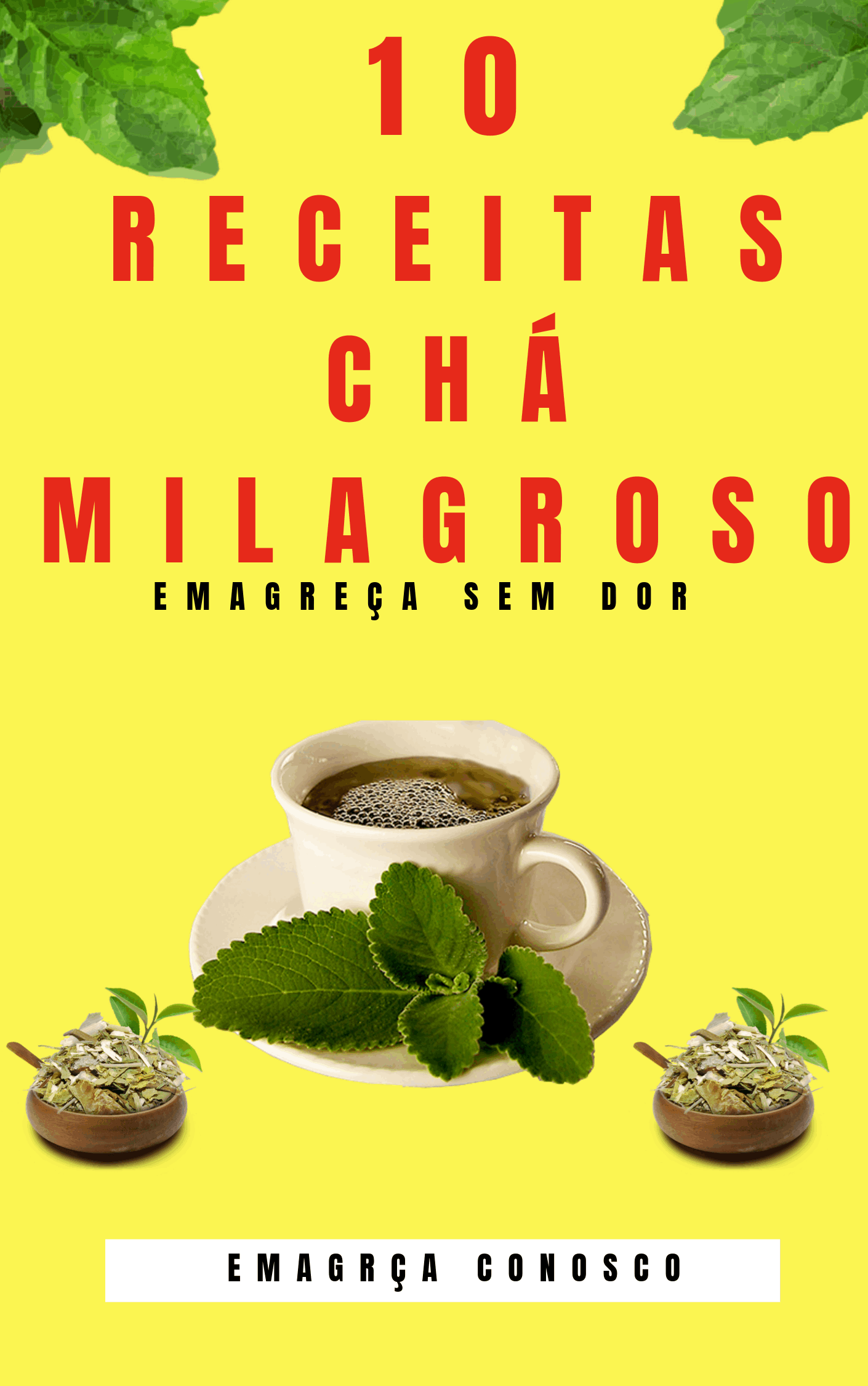 10 Receitas de ch para emagrecer