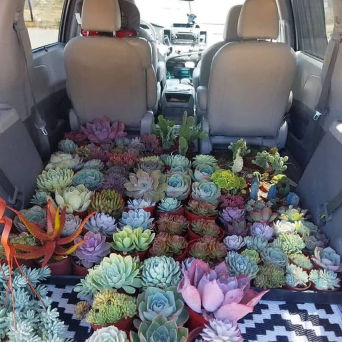 Mobirise