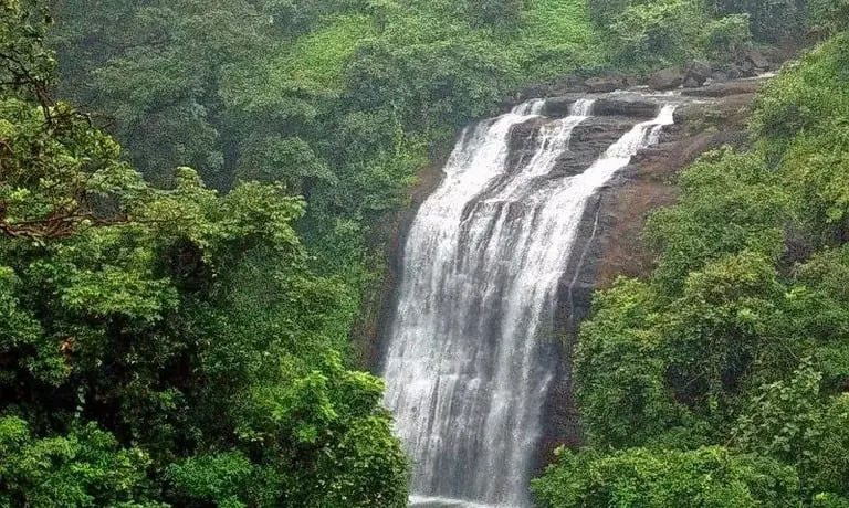 Chinaman's Falls in Mahabaleshwar: Stunning waterfall with cascading streams, surrounded by lush greenery and serene landscapes.