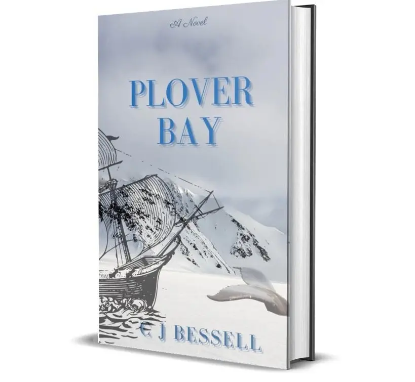 Plover Bay Book link