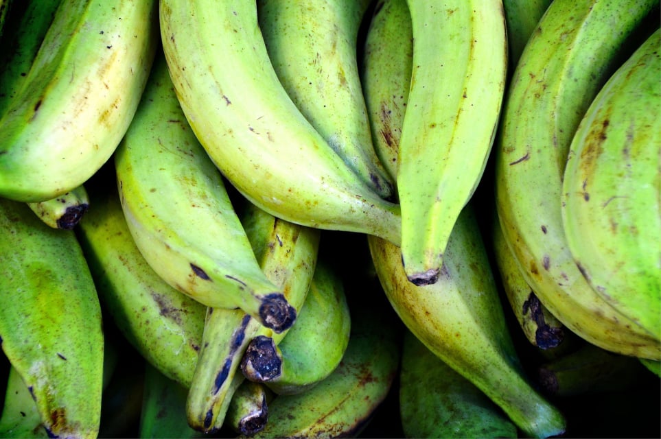 Mama Garri Plantains