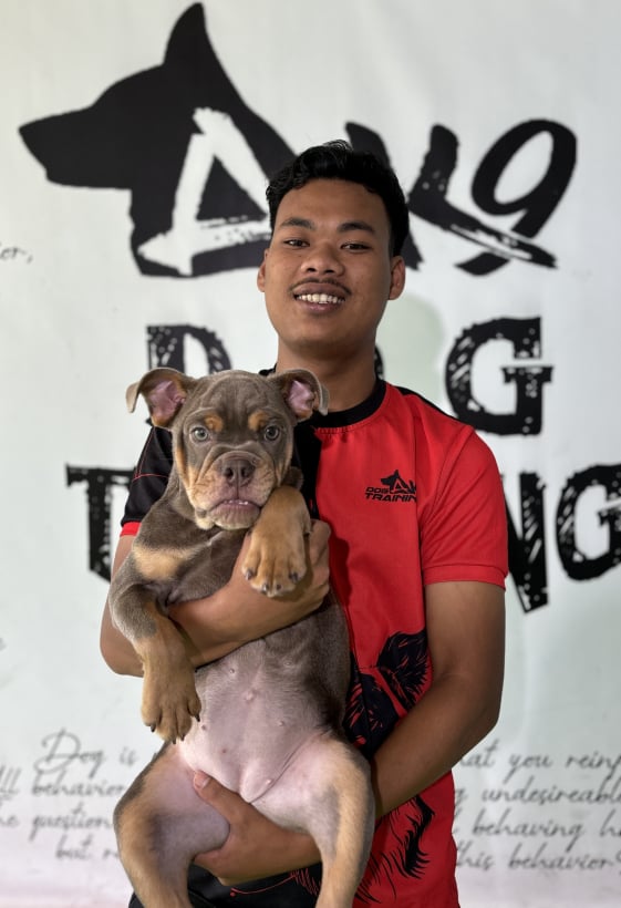 Mobirise Website Builder