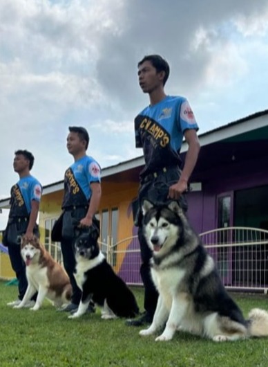 Mobirise Website Builder