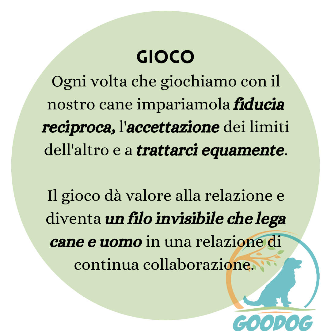 Metodo promette di porre fine al disagio del tuo cane durante il