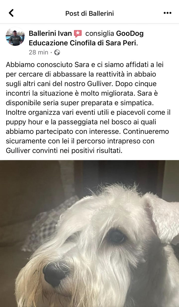 corso per la cerca del tartufo – GO GO DOG ADDESTRAMENTO CANI & ATTIVITA'  CINOFILE