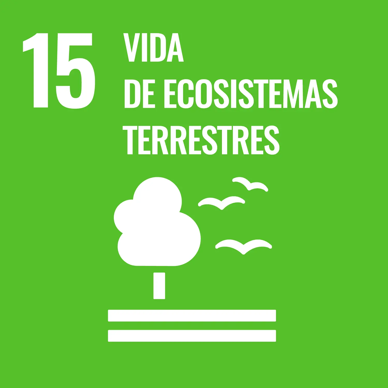 ecosistemas