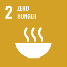 SDG 2 Zero Hunger Solachelle Bakery