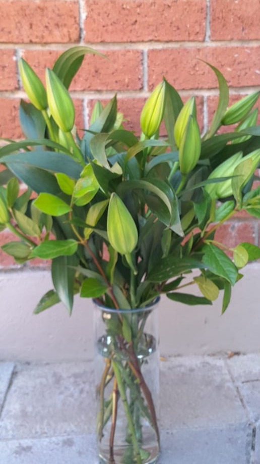 Luxury Floral Studio Cape Town