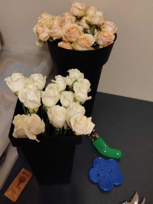 Luxury Floral Studio Cape Town